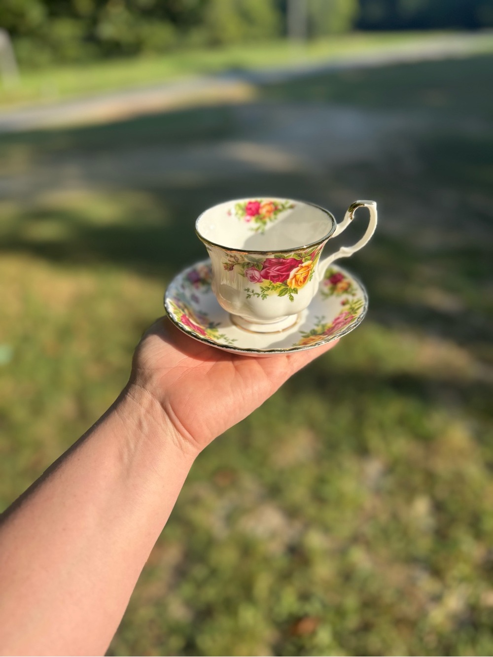 Vintage Royal Albert bone china old country roses teacup and saucer set